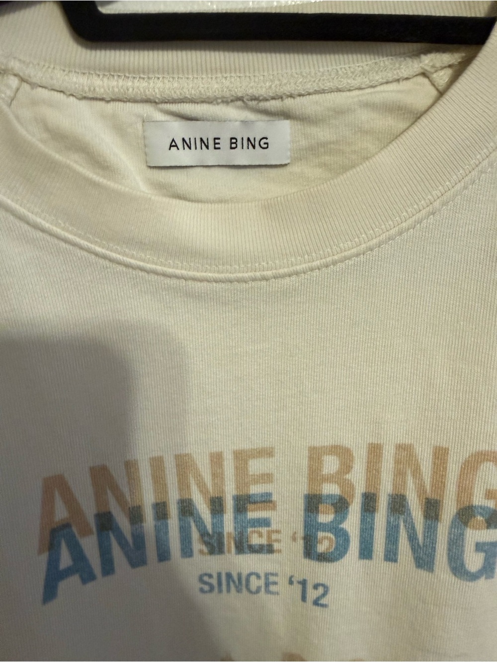 Anine Bing Arlo Desert Road Sweatshirt - Picture 4 of 5
